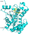 Figure 5