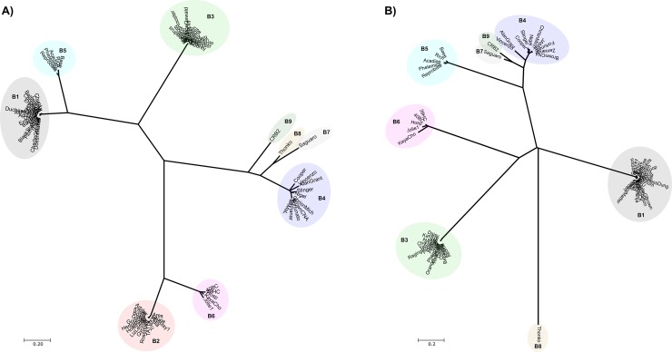 Fig 7