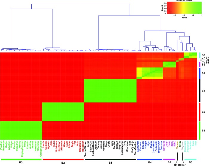 Fig 2