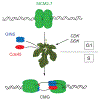 Figure 7.