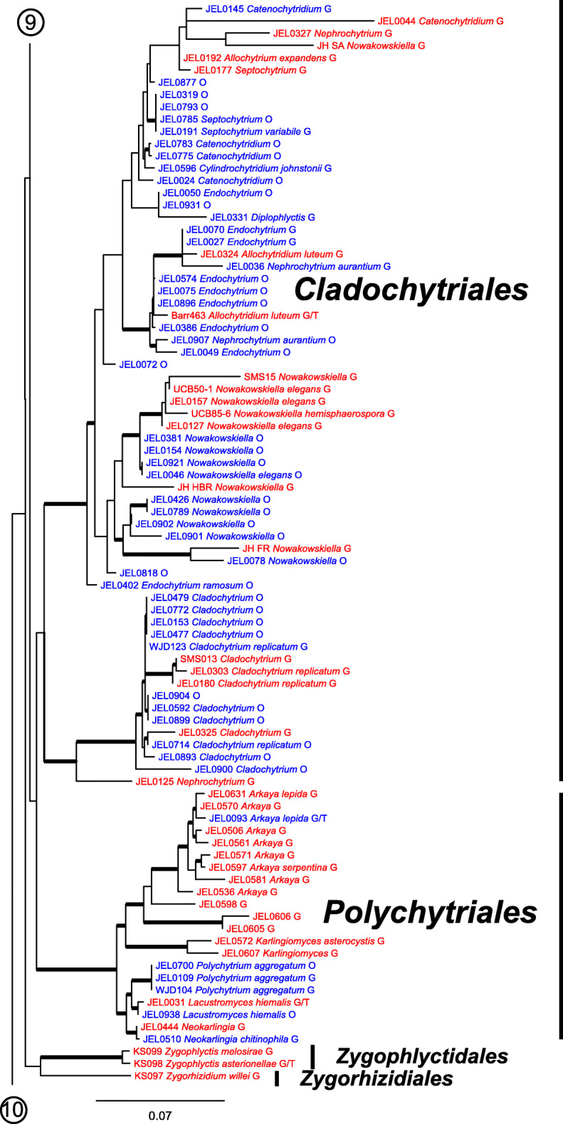 Fig. 12