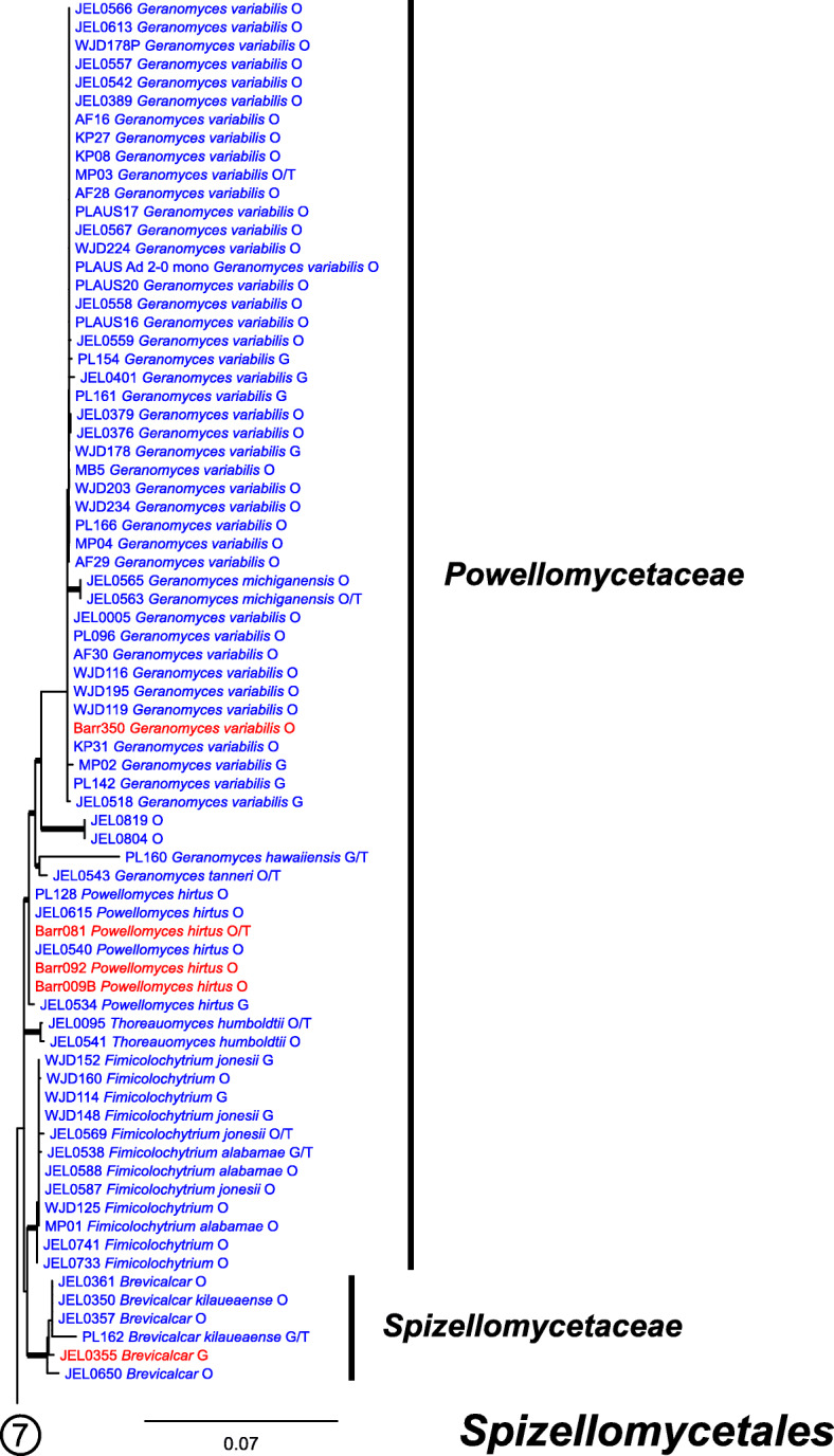 Fig. 9