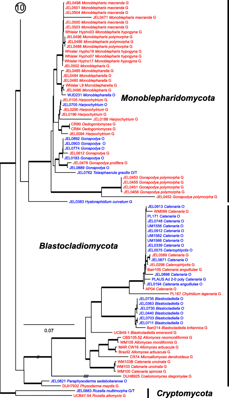 Fig. 13