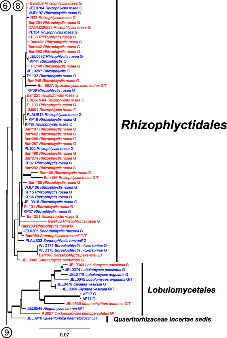 Fig. 11