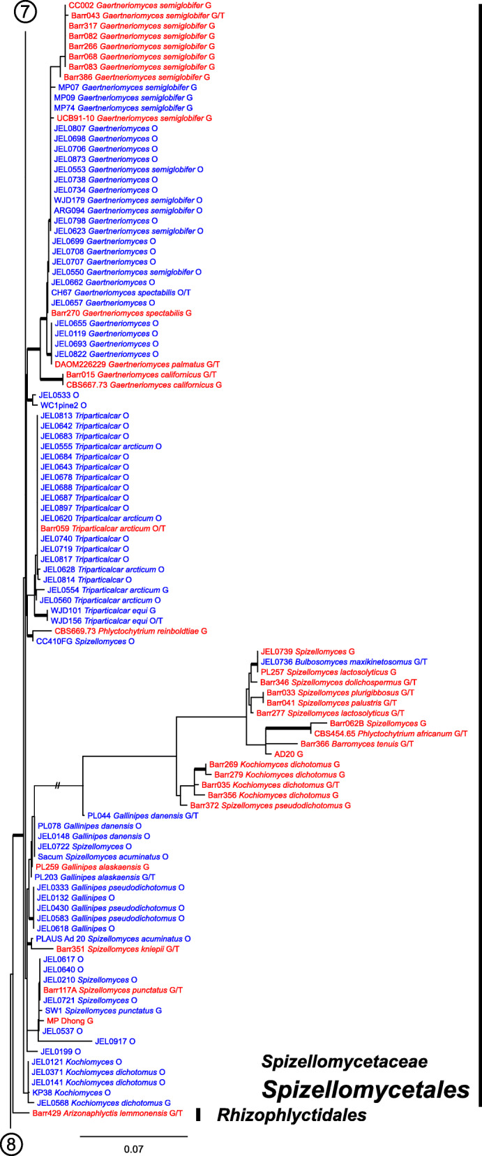 Fig. 10