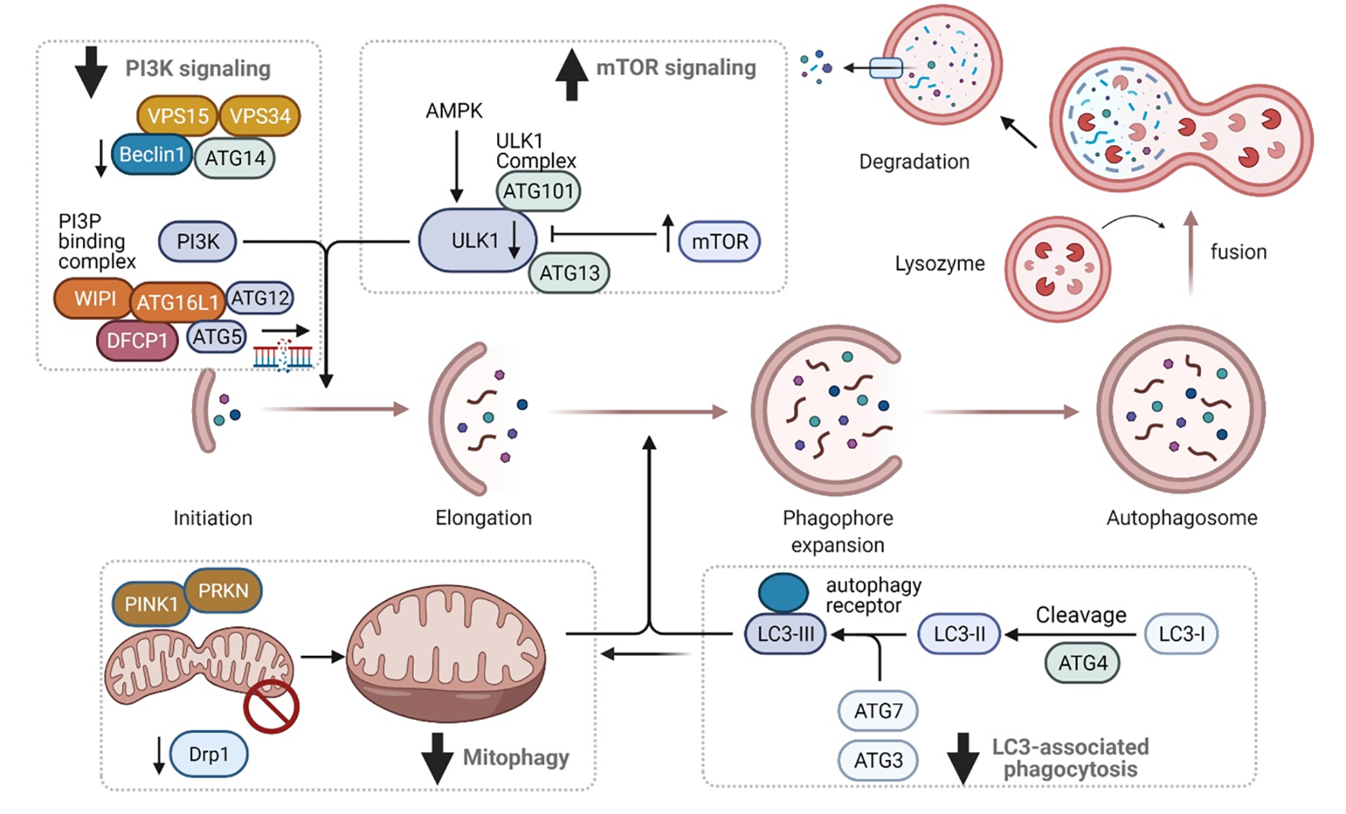 Figure 6.