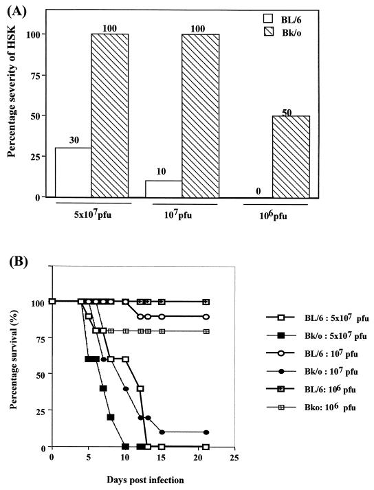 FIG. 6