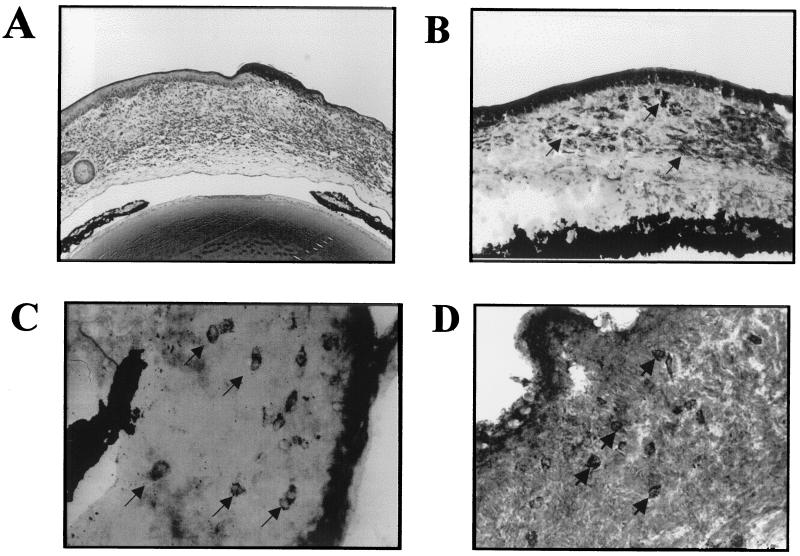 FIG. 9