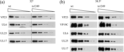 FIG. 11.