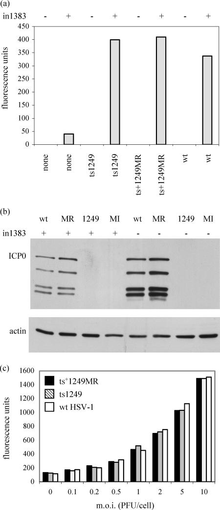 FIG. 7.