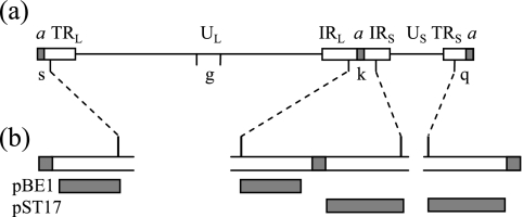 FIG. 1.