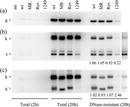 FIG. 10.