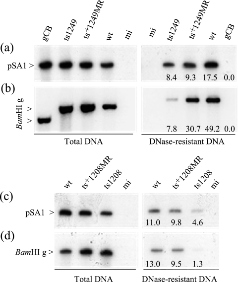 FIG. 9.