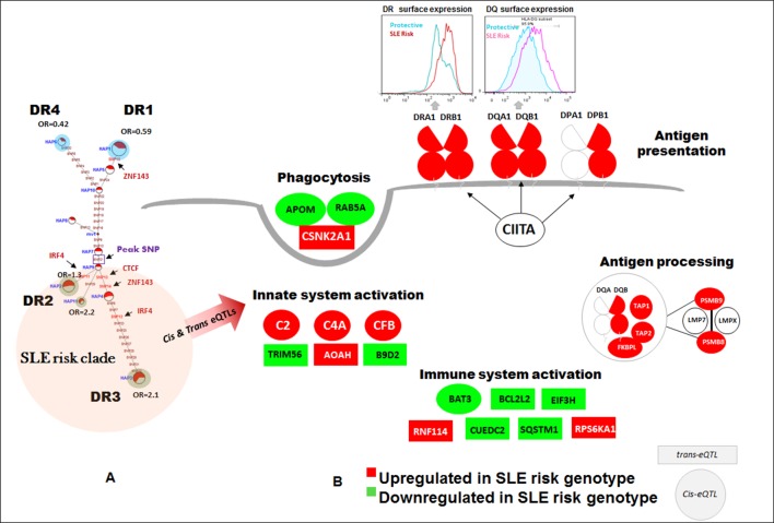 Figure 16.