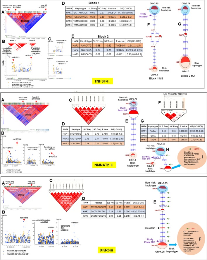 Figure 13.