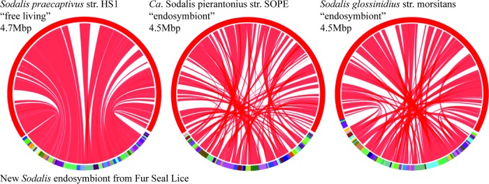 FIG 3