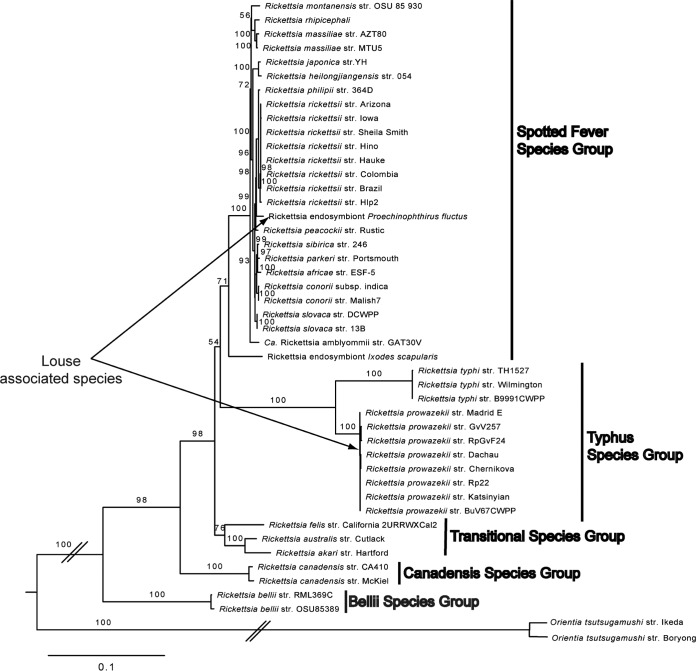 FIG 2