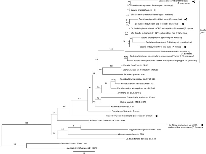 FIG 1