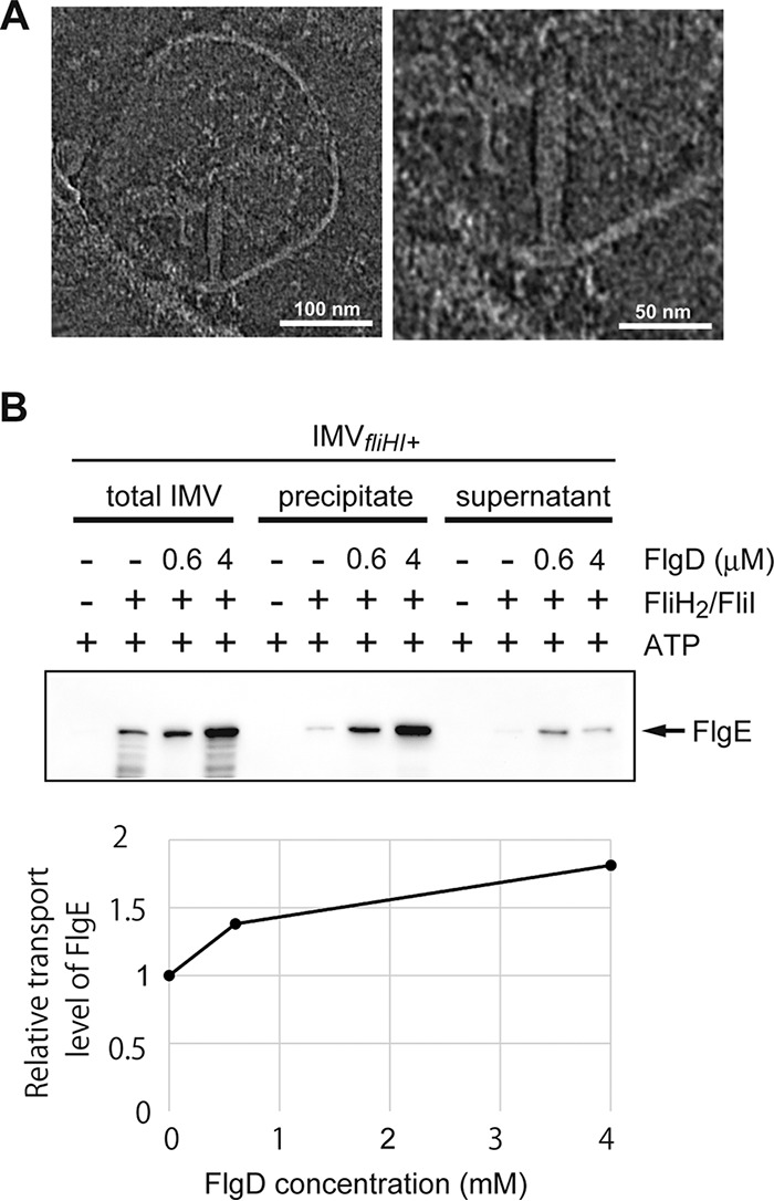FIG 4 