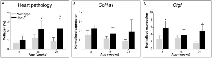 Fig 7