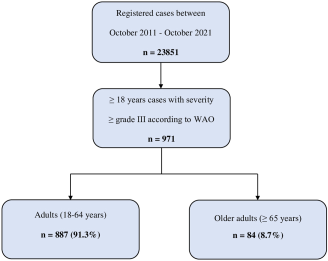 Fig. 1