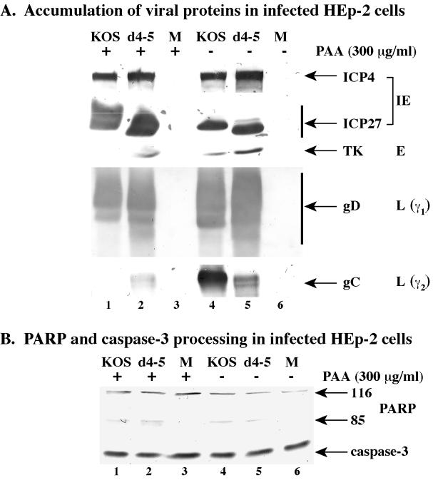 FIG. 8