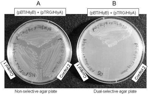 FIG. 7.