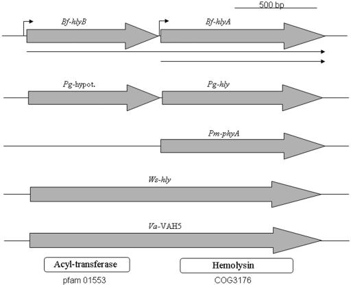 FIG. 6.