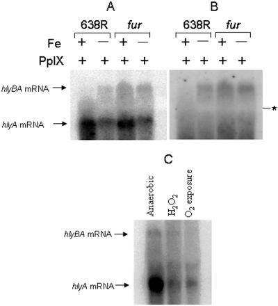 FIG. 9.