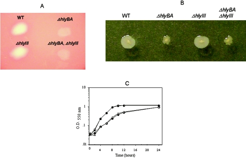 FIG. 8.