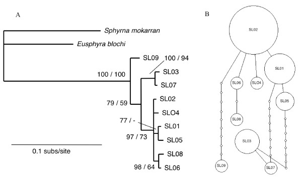 Figure 5