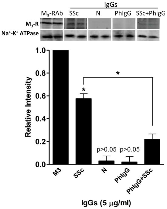 Fig. 5