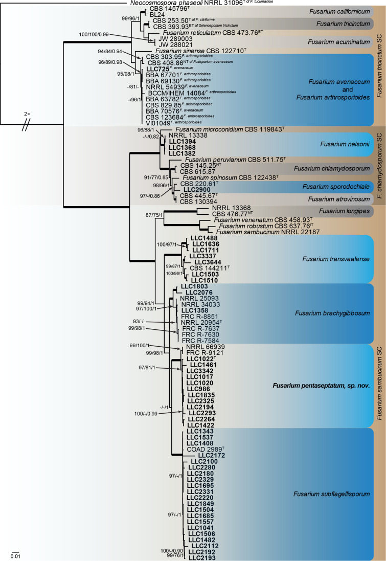 Fig. 2.