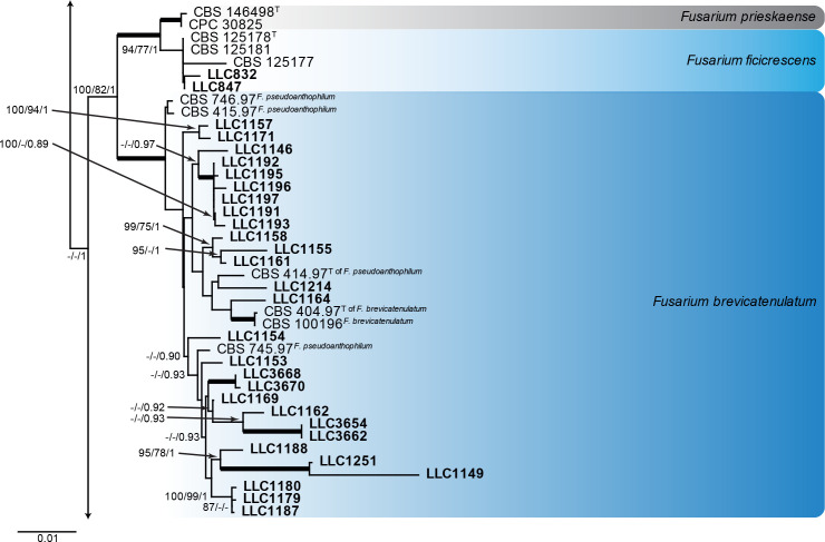 Fig. 3.