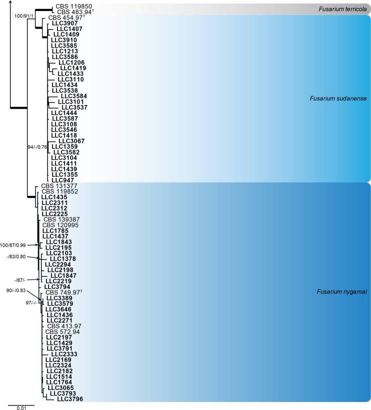 Fig. 3.