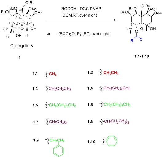 Scheme 1