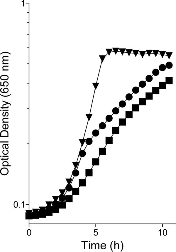 FIG 3 