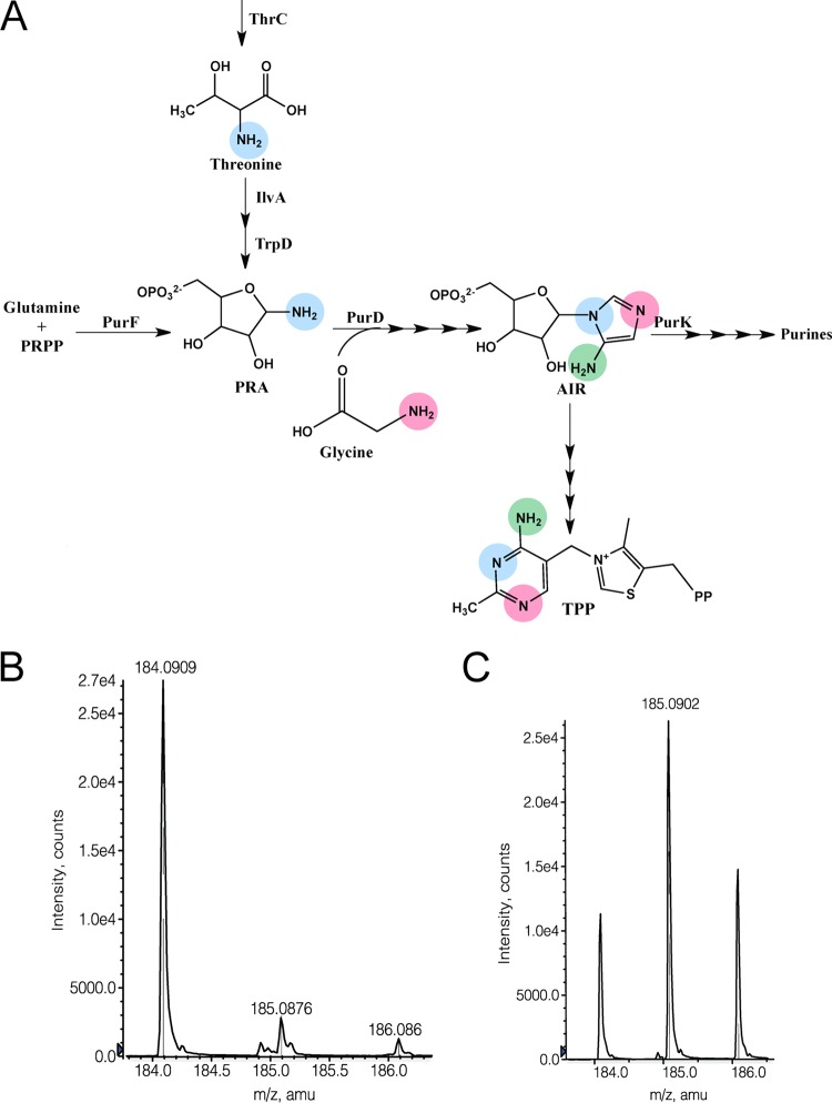 FIG 6 