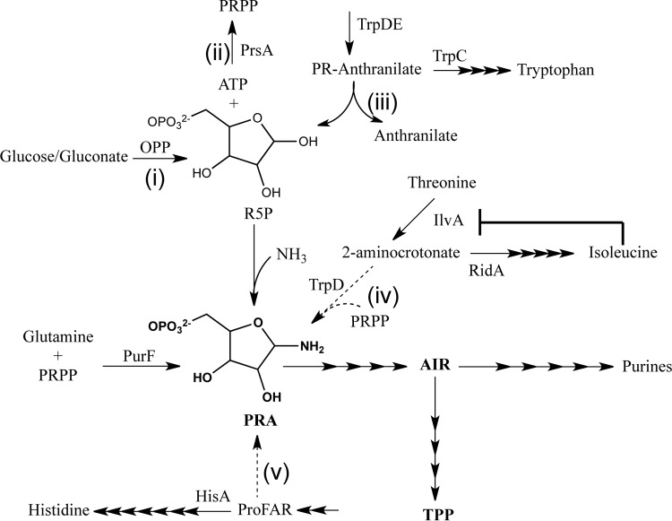 FIG 1 