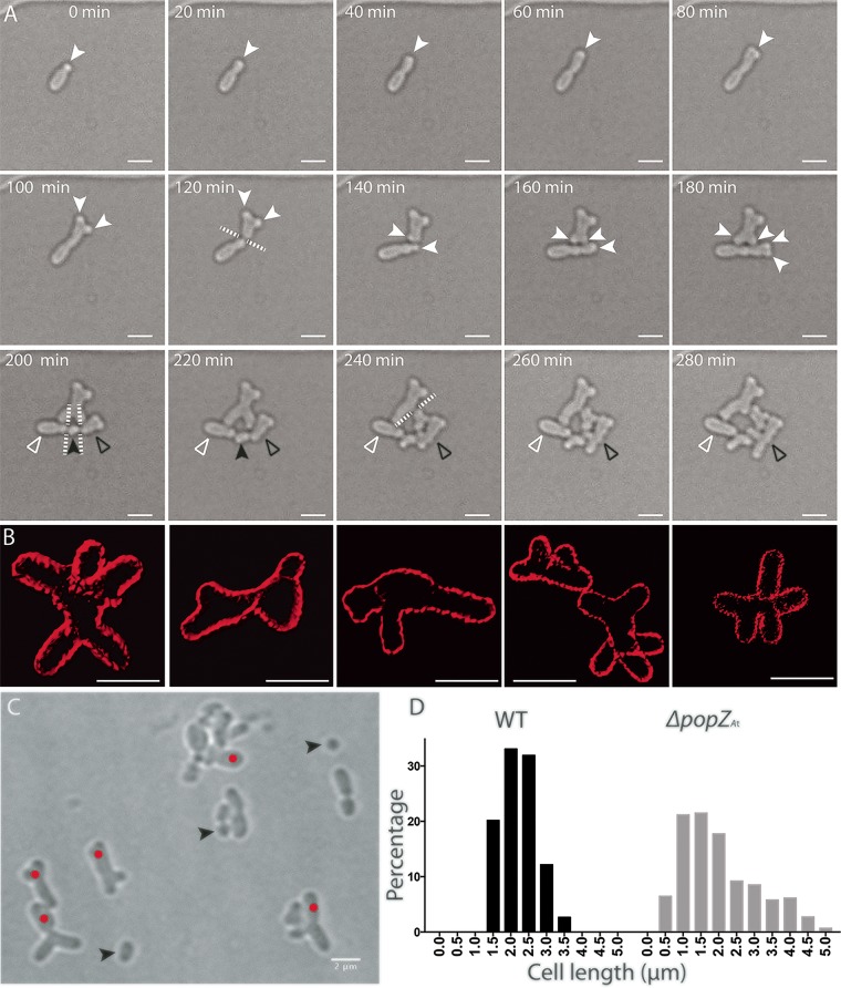 FIG 3 