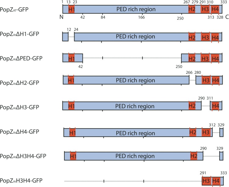 FIG 1 