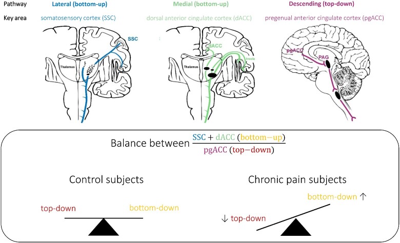 Graphical Abstract