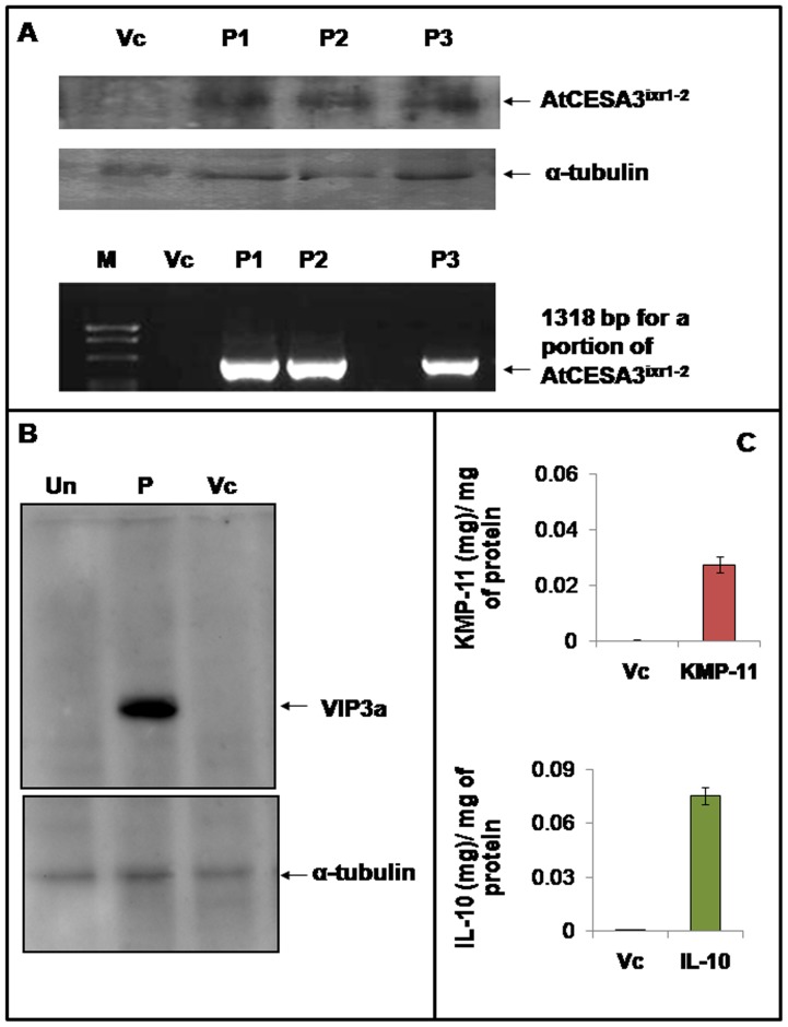 Figure 13