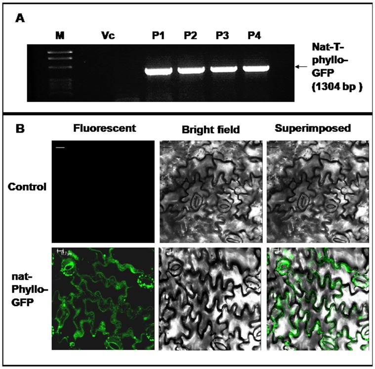 Figure 14