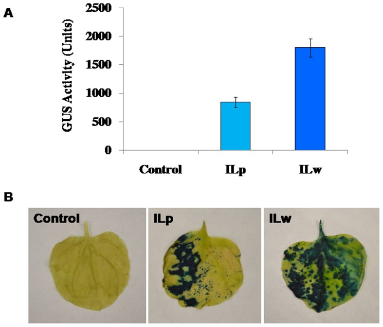 Figure 11