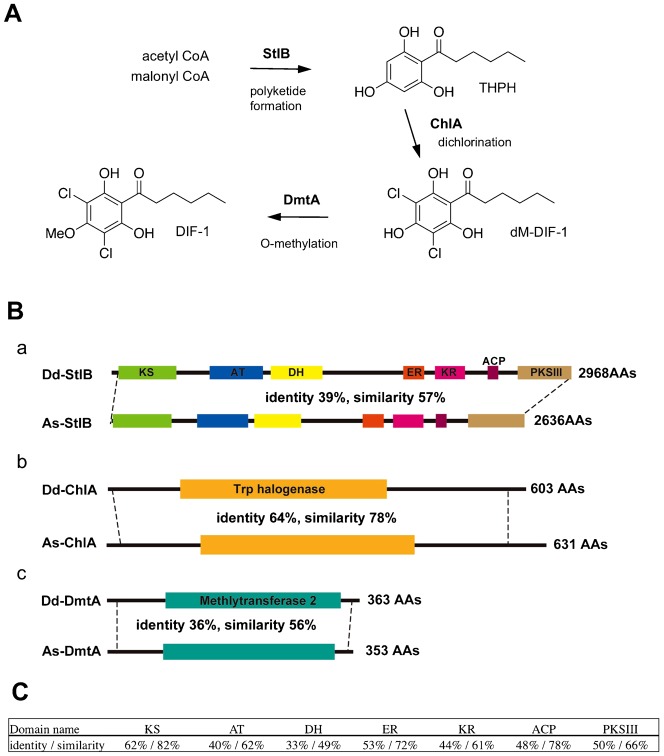 Fig. 1.