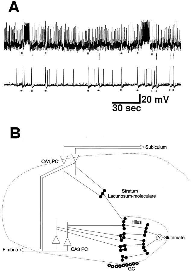 Fig. 11.