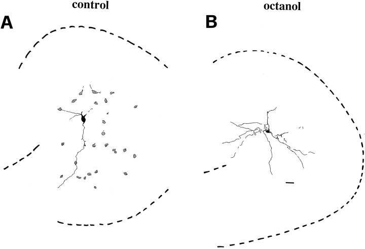 Fig. 10.