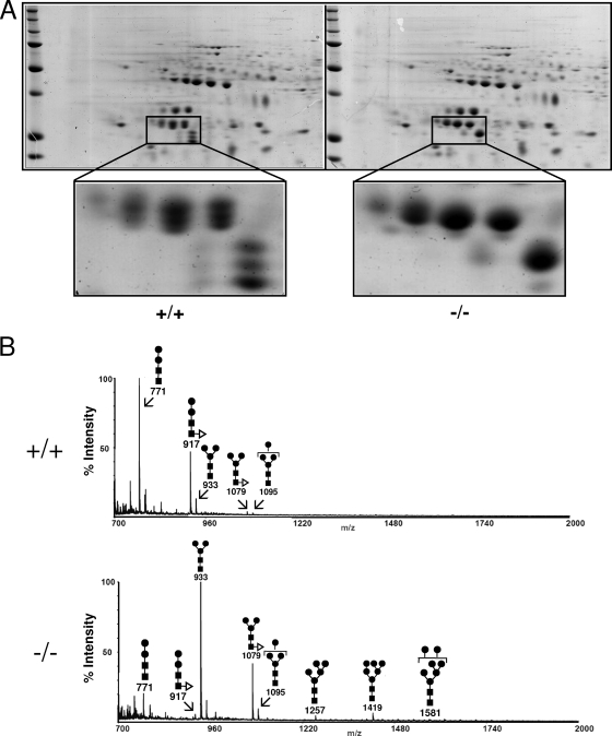 FIG. 5.