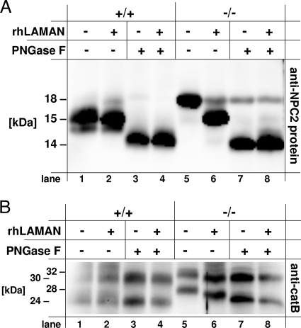 FIG. 6.